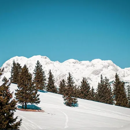 Neza Velika Planina Dağ evi Stahovica
