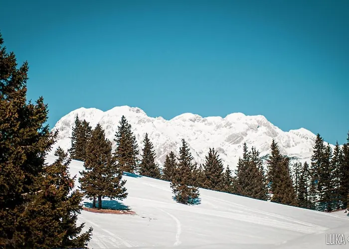 Neza Velika Planina Horská chata Stahovica